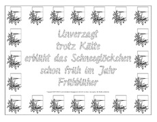 Elfchen-Schneeglöckchen-Beispiel-3B.pdf
